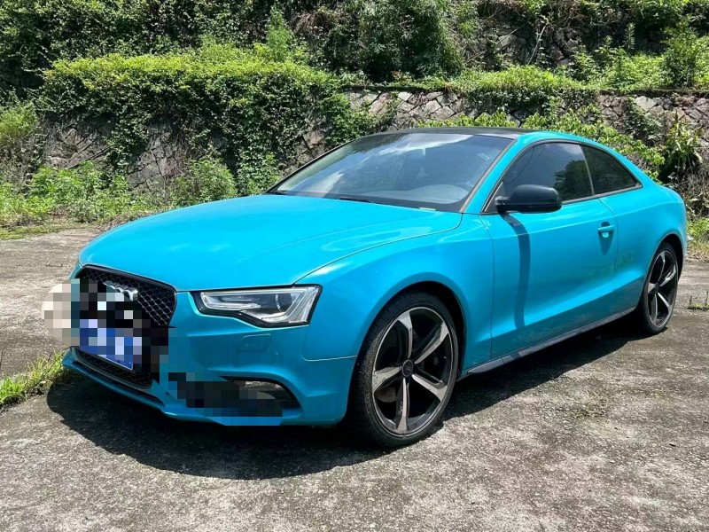 嘉兴15年奥迪A52