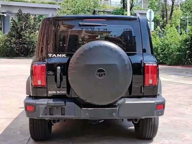 珠海22年長城汽車坦克3003