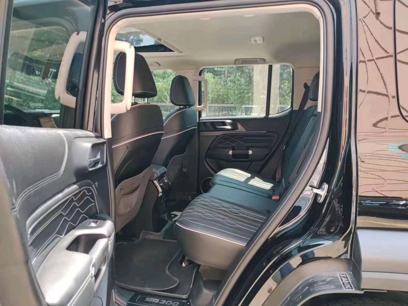 珠海22年長城汽車坦克3004