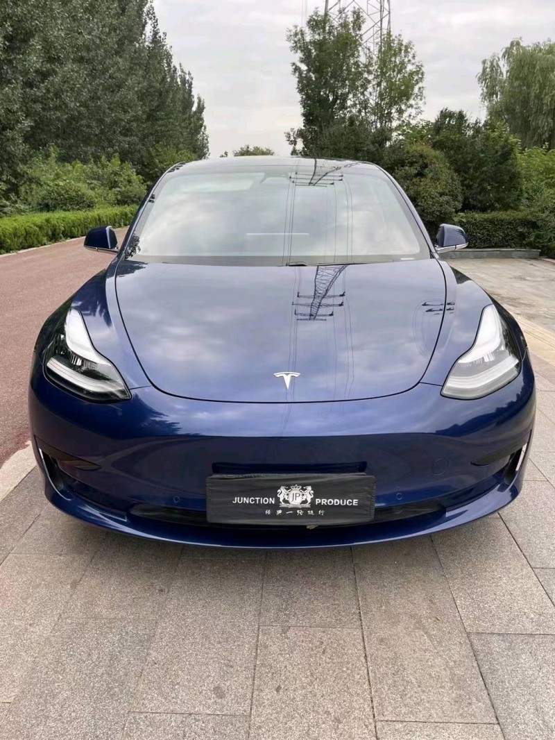 棗莊20年特斯拉MODEL 31