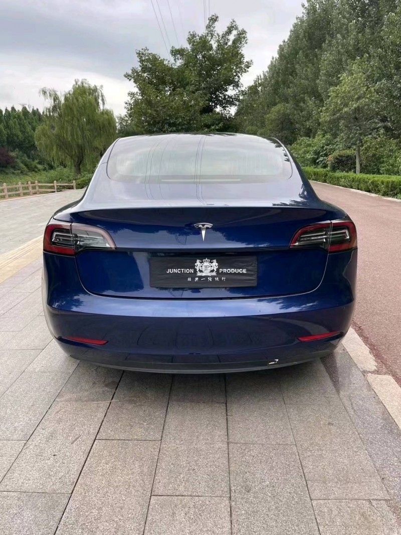 棗莊20年特斯拉MODEL 33