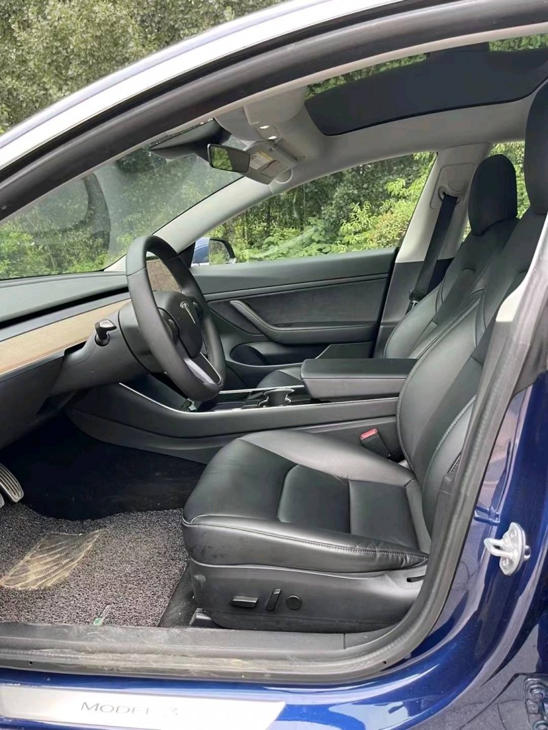 棗莊20年特斯拉MODEL 38