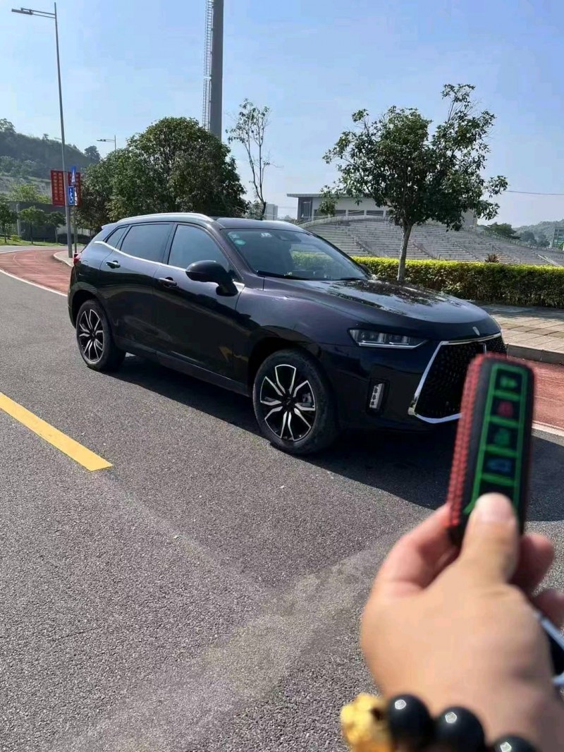 梧州19年長城汽車WEY P83