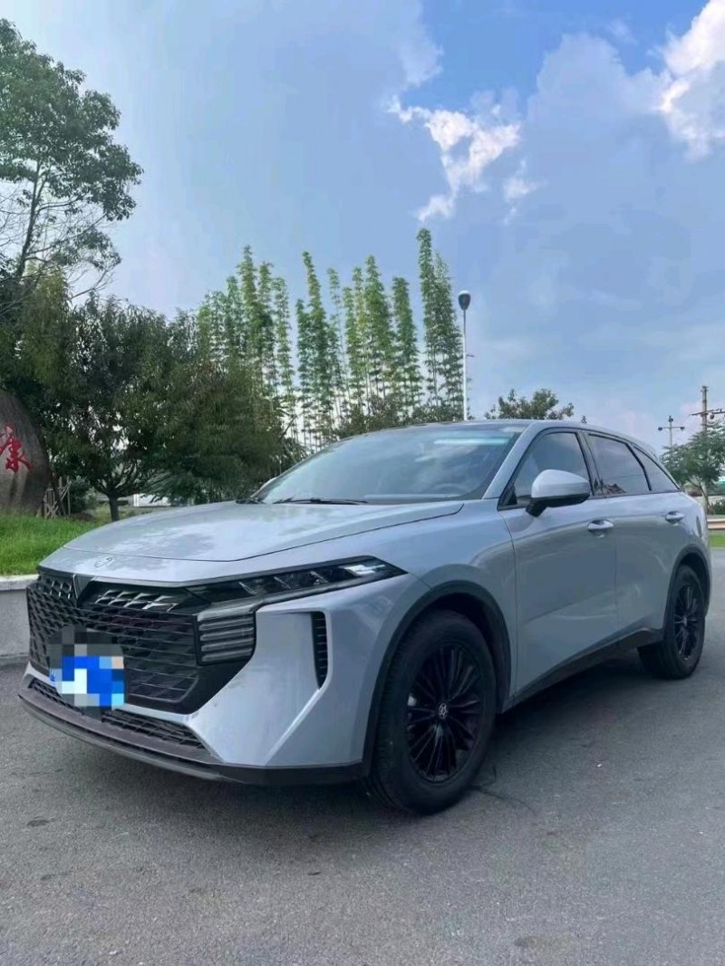 嘉興22年啟辰大V9