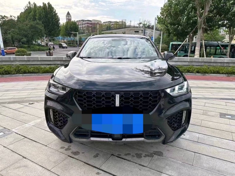 棗莊17年長城汽車WEY VV51