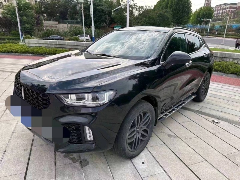 棗莊17年長城汽車WEY VV54