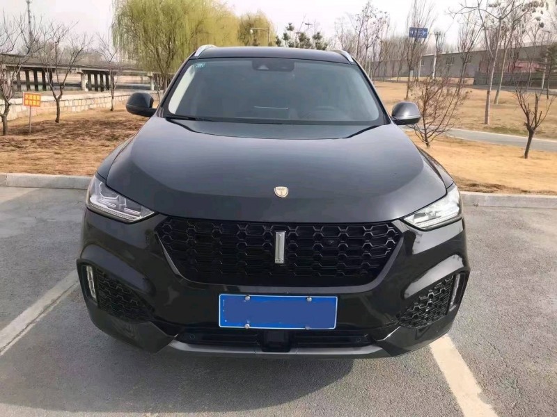 淄博19年長城汽車WEY VV61