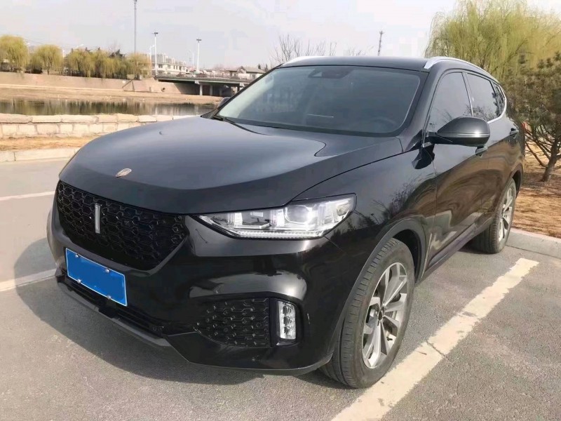 淄博19年長城汽車WEY VV63