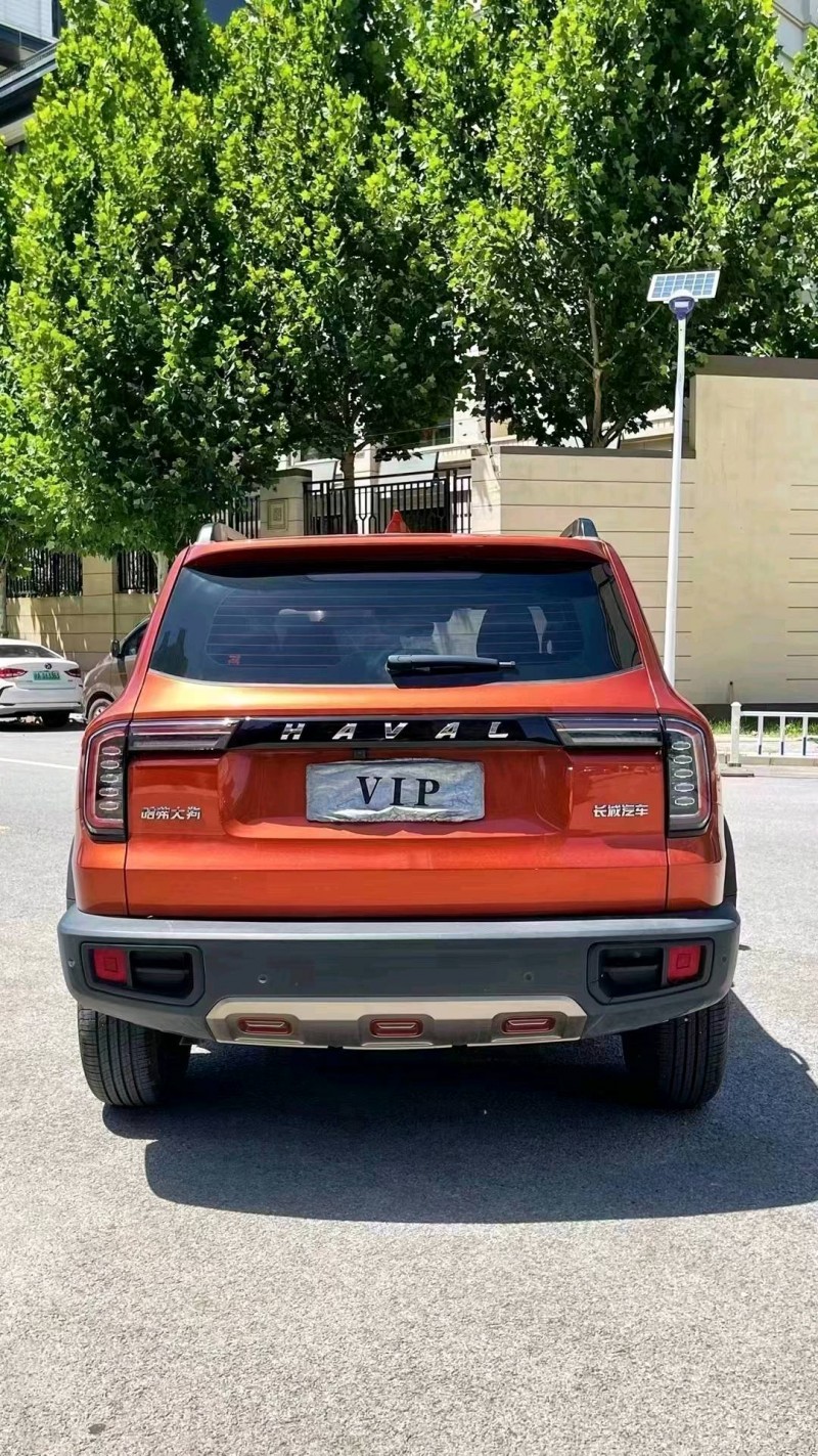 廊坊21年哈弗大狗9