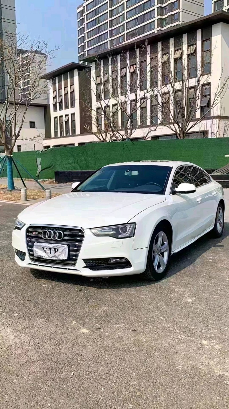廊坊13年奥迪A52
