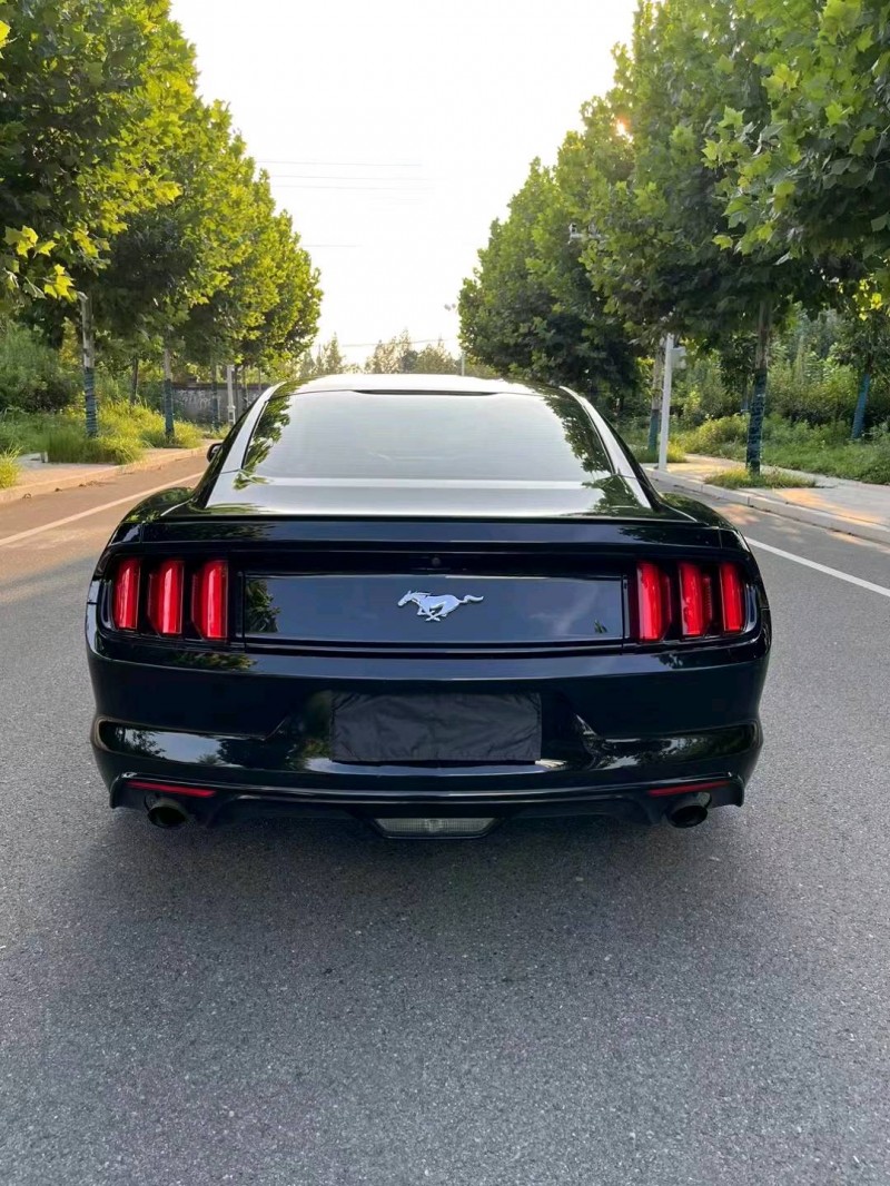 徐州16年福特野马9