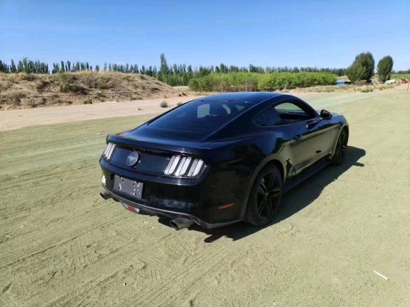 保定23年福特野马5