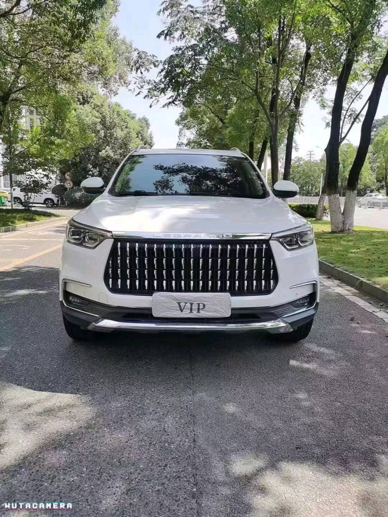 湘潭18年獵豹汽車邁途1