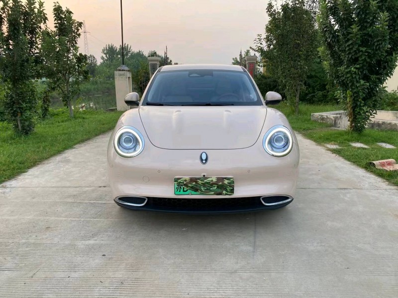 徐州21年長城汽車歐拉1