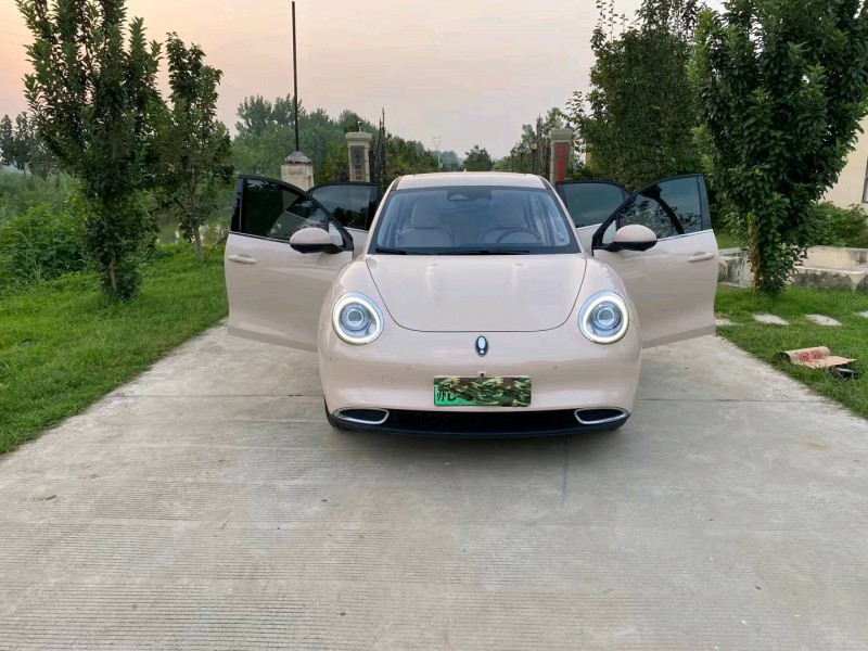 徐州21年長城汽車歐拉2