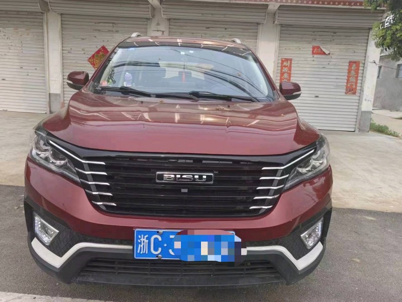 枣庄18年比速汽车T51