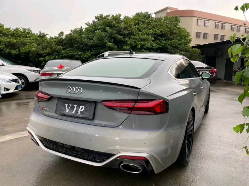 广州21年奥迪RS57