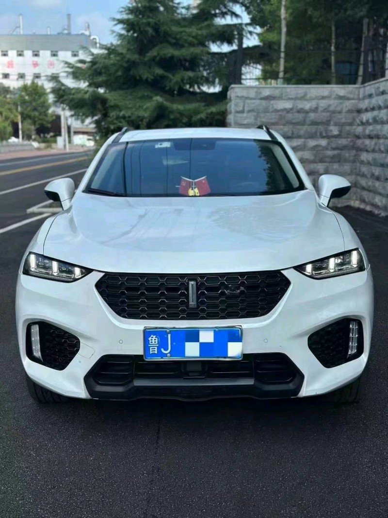 淄博18年長城汽車WEY VV71