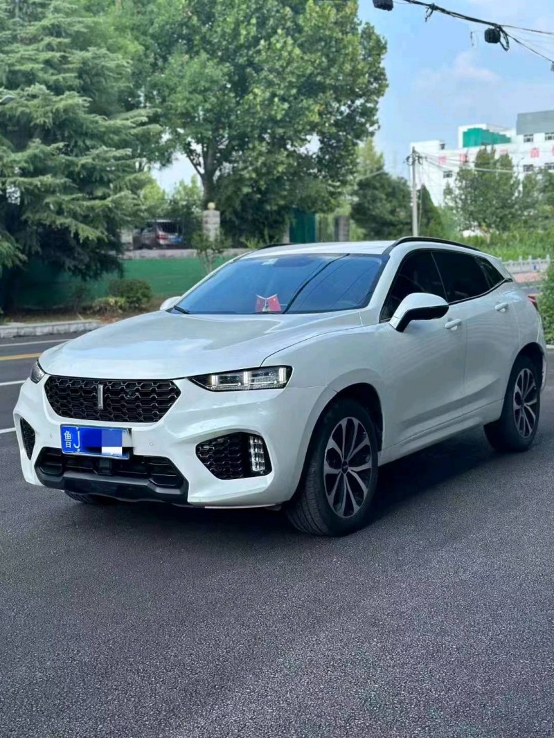 淄博18年長城汽車WEY VV76