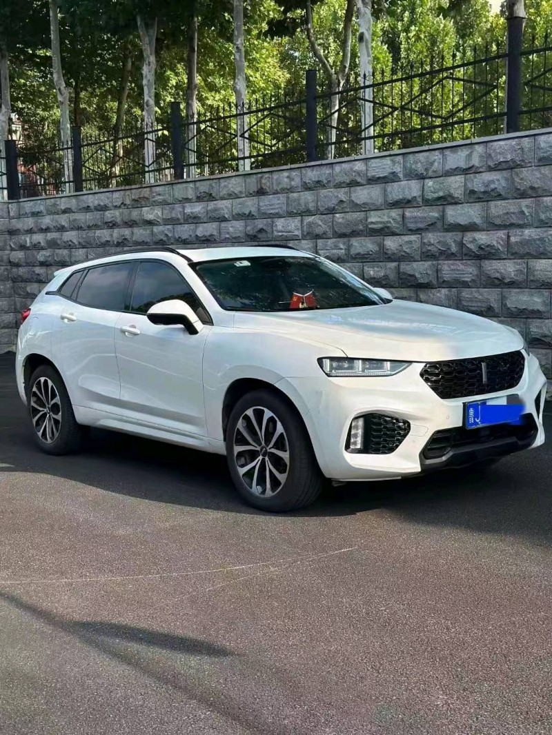 淄博18年長城汽車WEY VV79