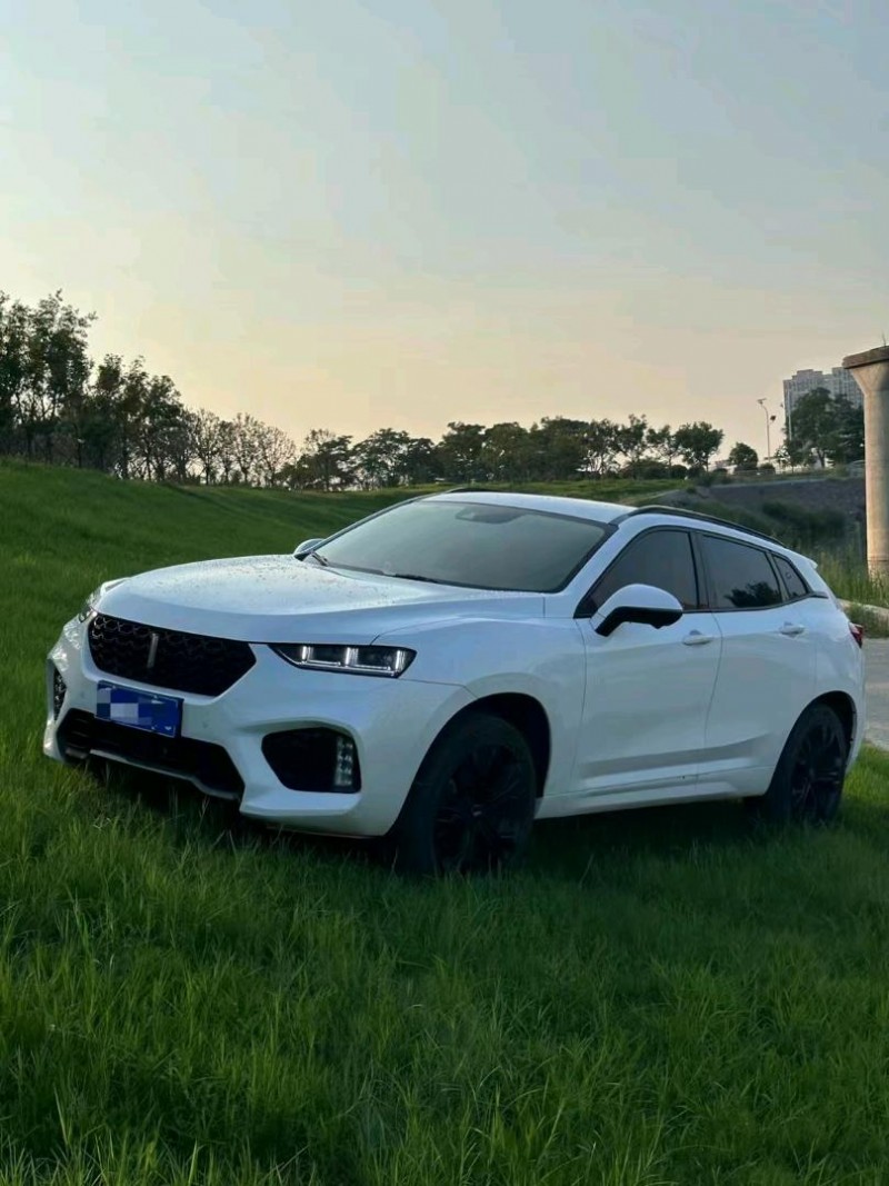 邯鄲19年長城汽車WEY VV72