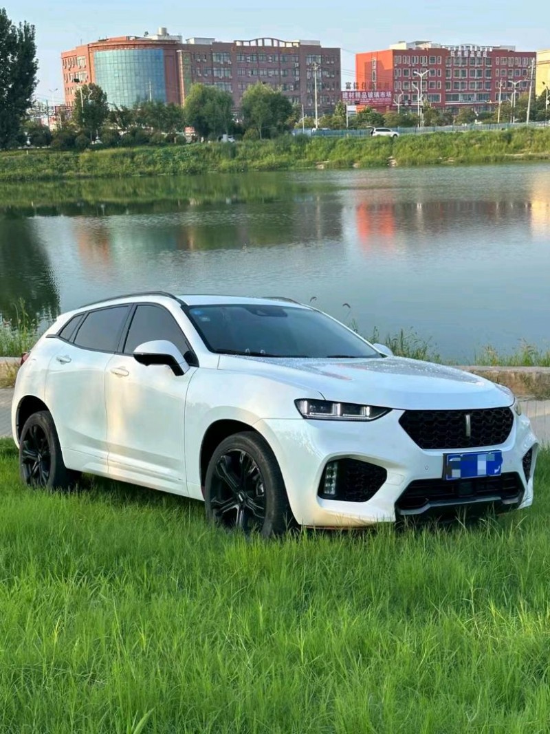 邯鄲19年長城汽車WEY VV73