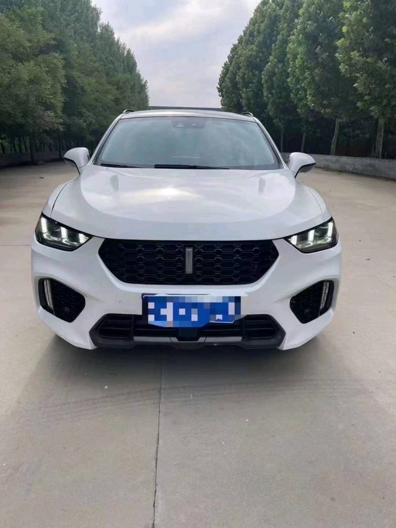 棗莊19年長城汽車WEY VV51