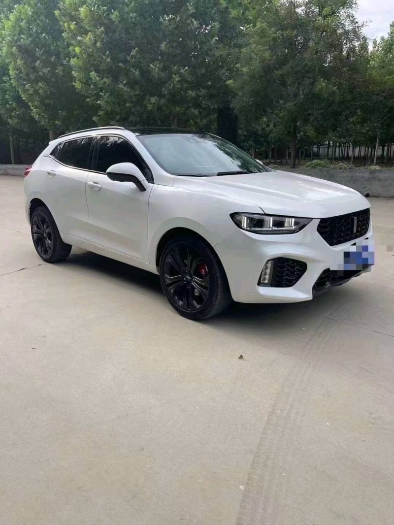 棗莊19年長城汽車WEY VV52