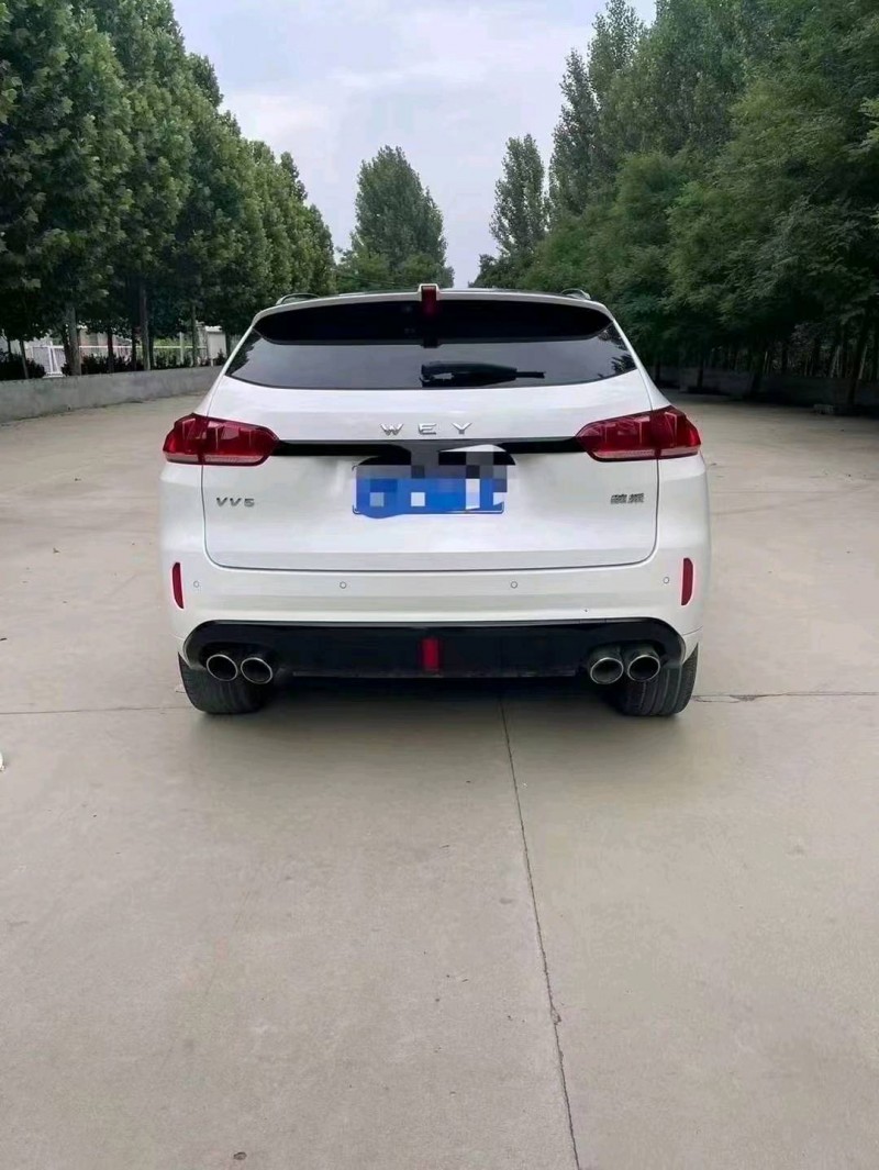棗莊19年長城汽車WEY VV53