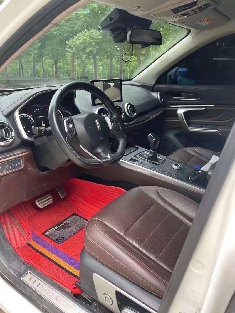 棗莊19年長城汽車WEY VV55