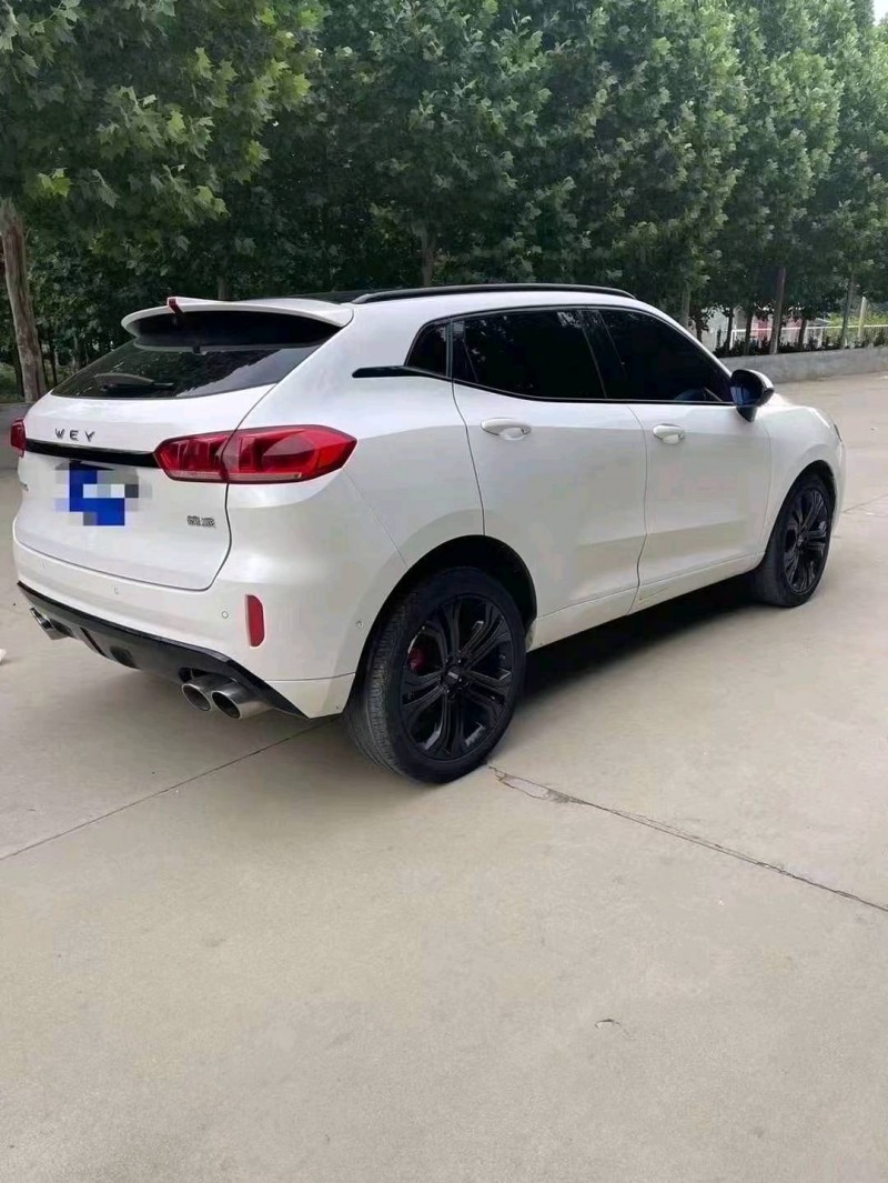 棗莊19年長城汽車WEY VV56