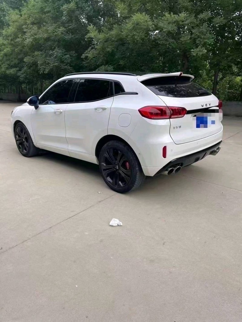 棗莊19年長城汽車WEY VV58