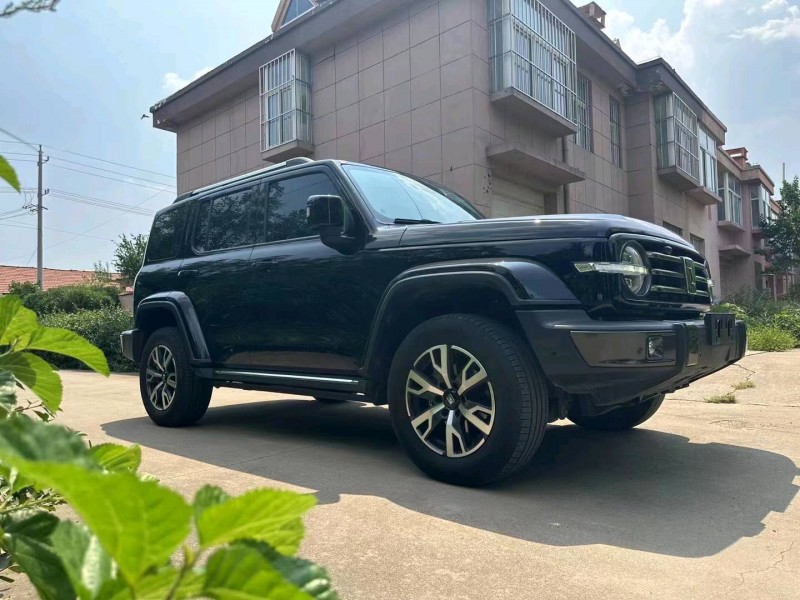 濰坊22年長城汽車坦克3003