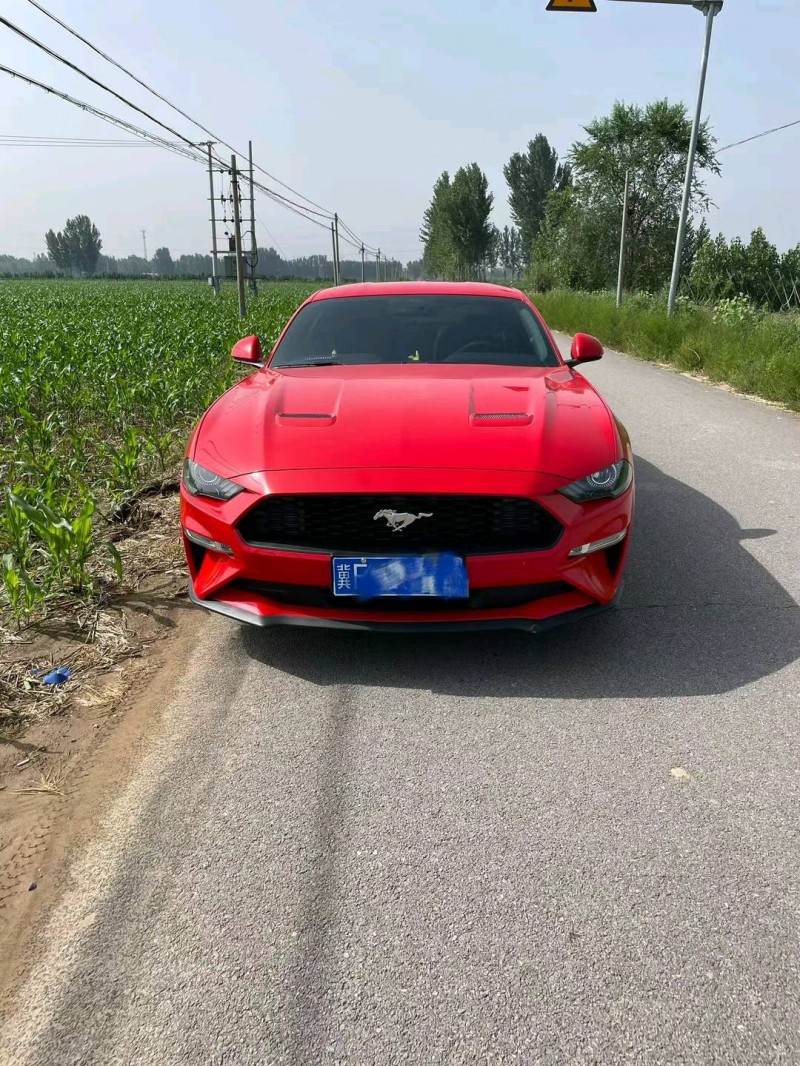 邯郸21年福特野马1