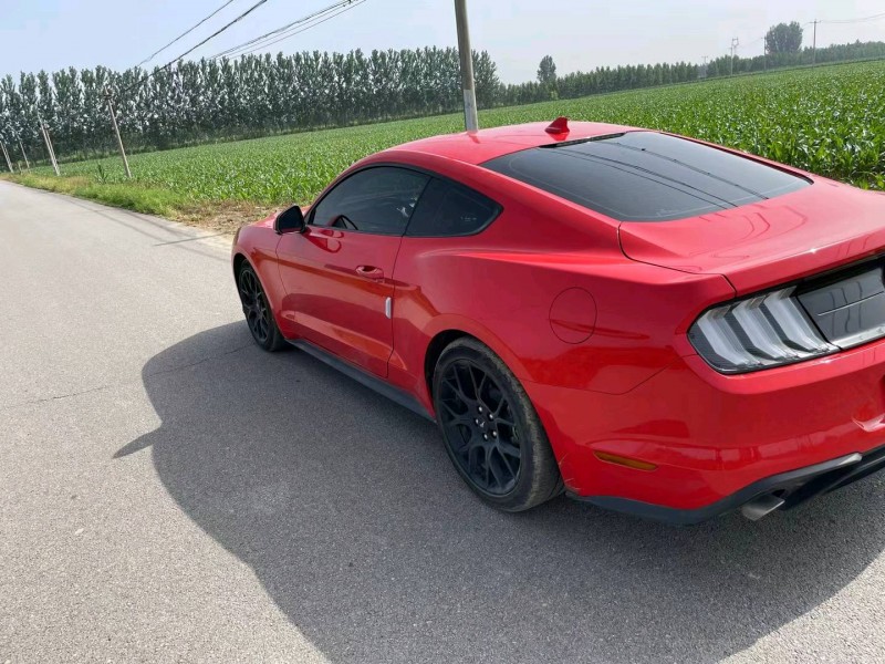 邯郸21年福特野马4