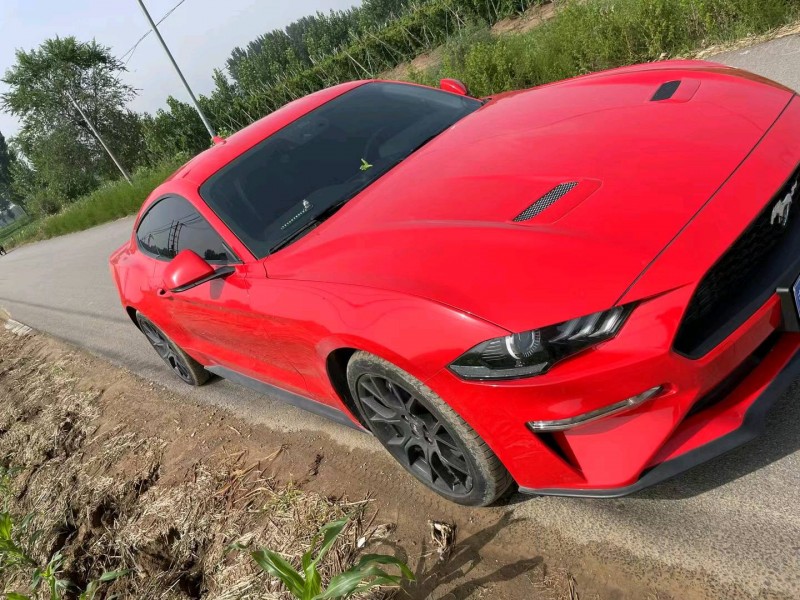 邯郸21年福特野马5