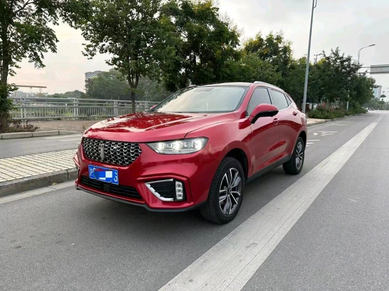 棗莊21年長城汽車WEY VV59