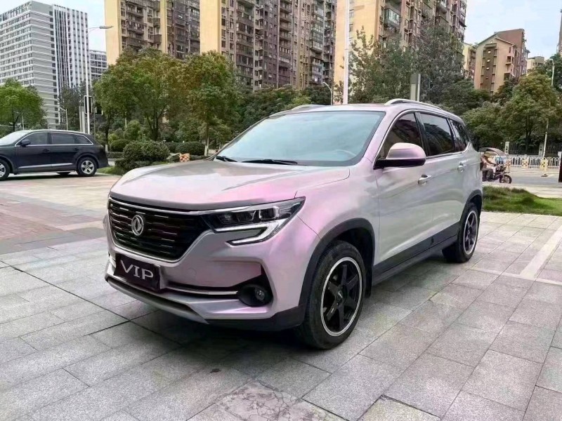 衡阳20年东风T51