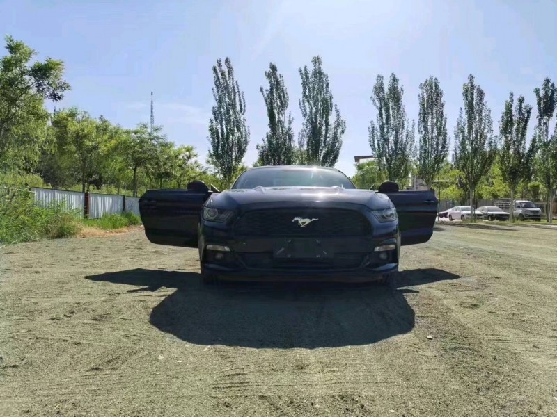 石家庄16年福特野马1