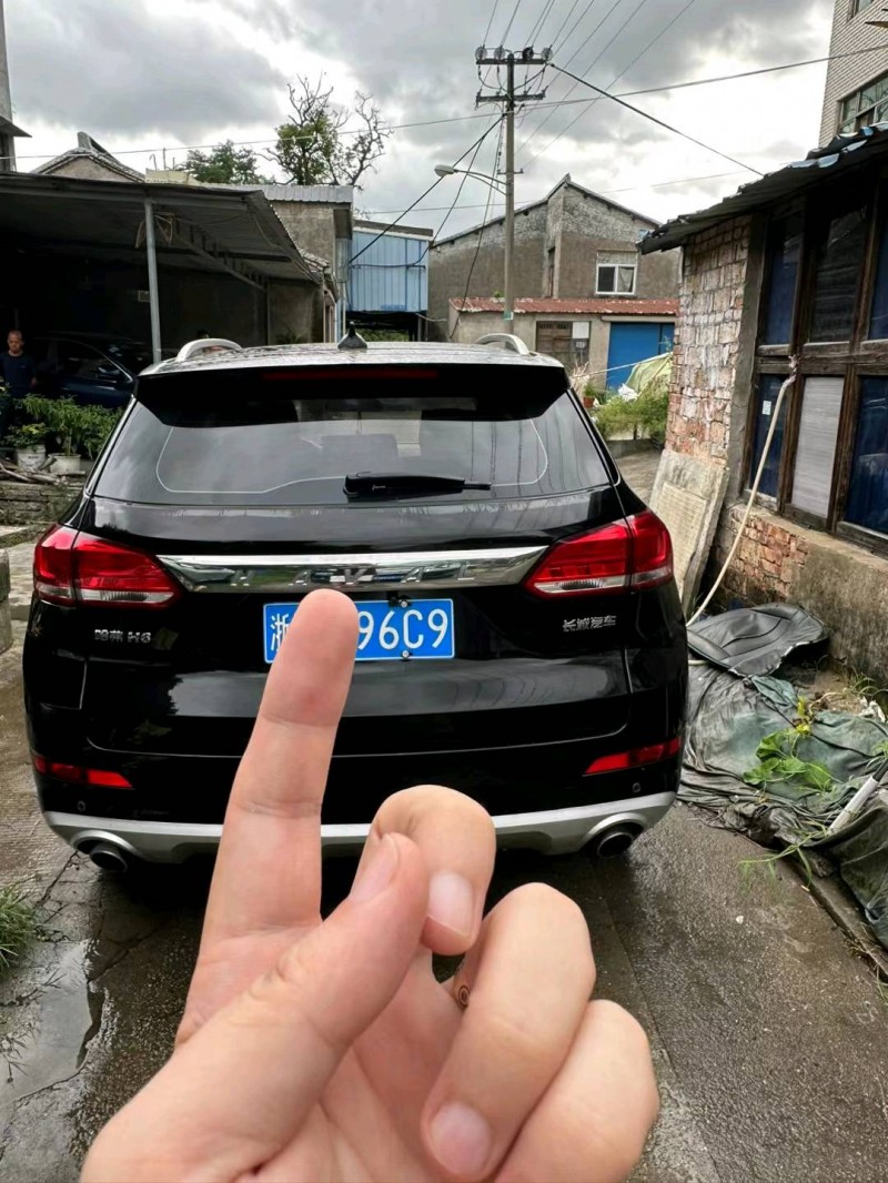嘉兴19年哈弗H62