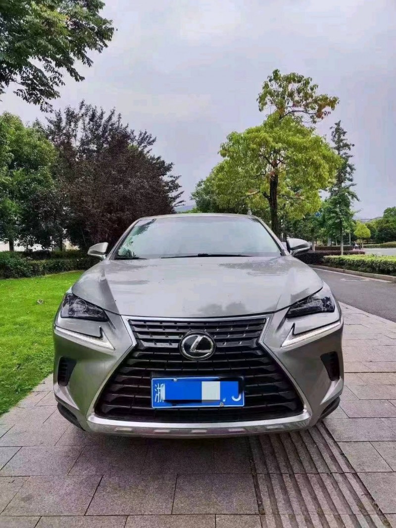 嘉兴19年雷克萨斯NX1