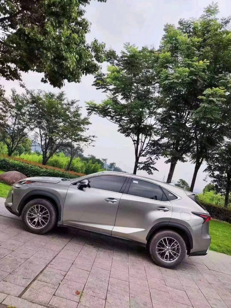 嘉兴19年雷克萨斯NX8