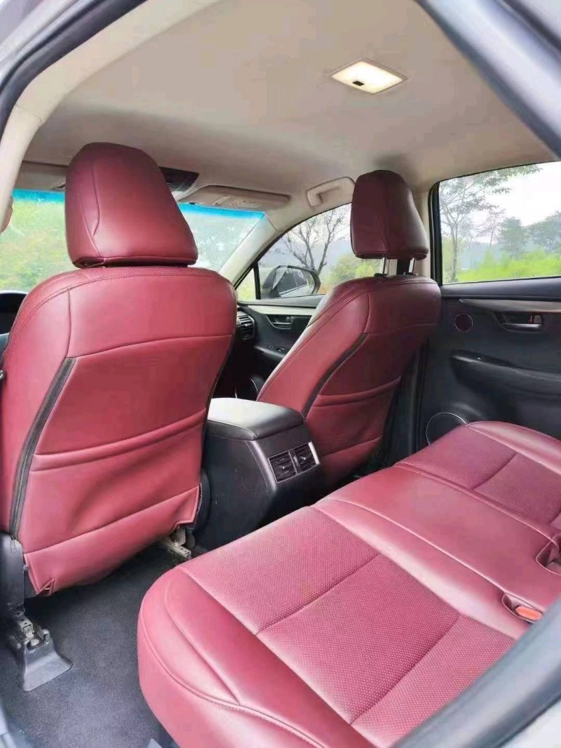 嘉兴19年雷克萨斯NX9
