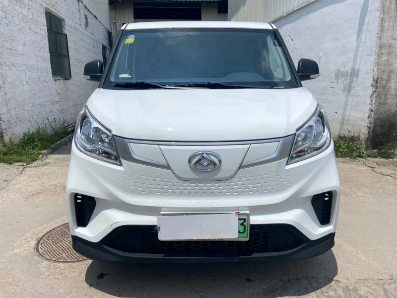 广州22年大通EV30L1