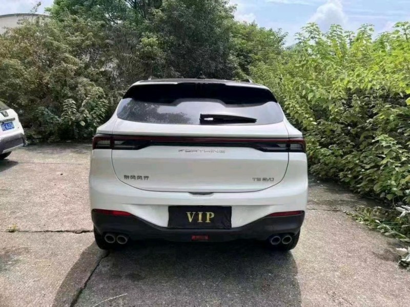 衡阳23年东风T59