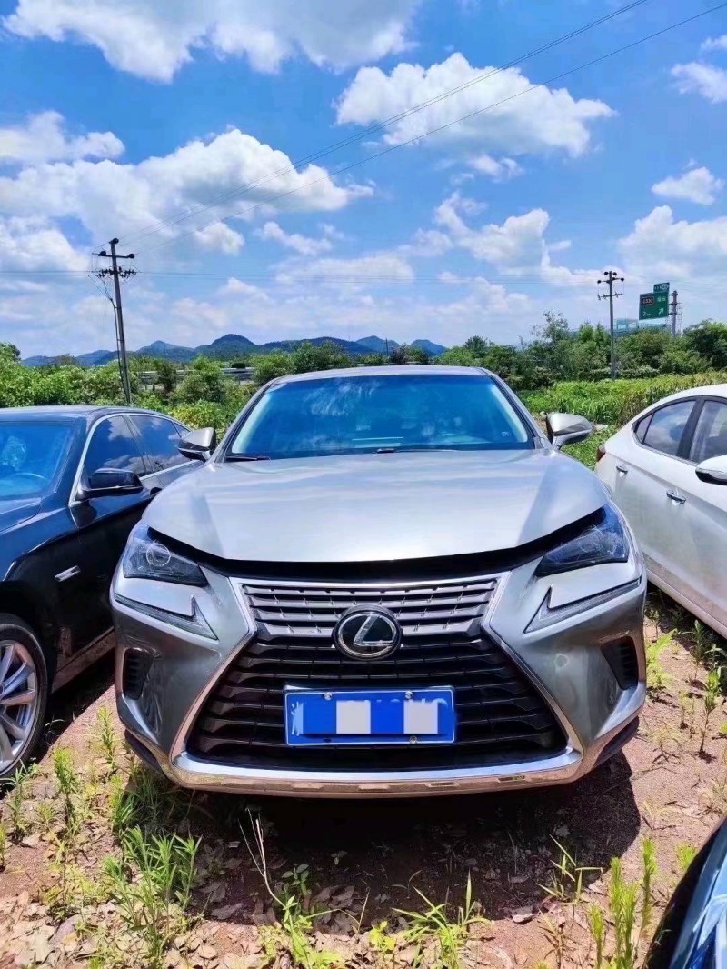 枣庄19年雷克萨斯NX1