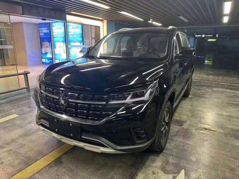 嘉兴23年东风T53