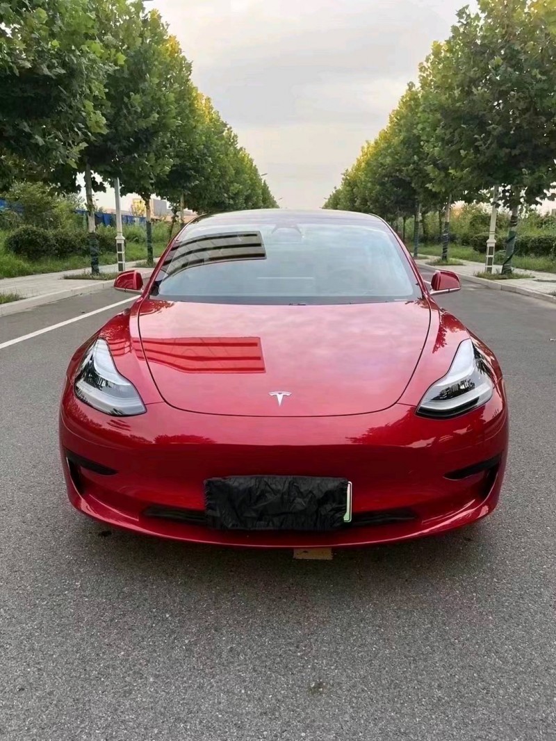 東營20年特斯拉MODEL 31