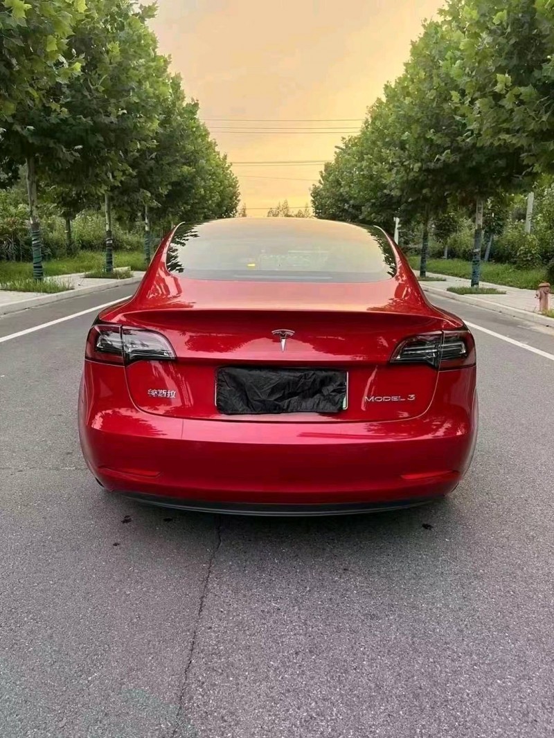 東營20年特斯拉MODEL 38