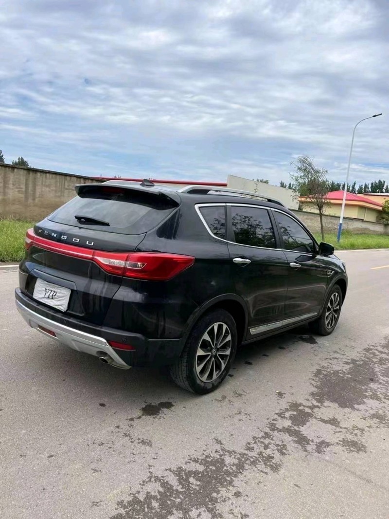 邢台17年东风风度4